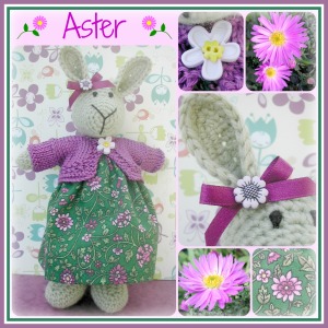 Aster Collage